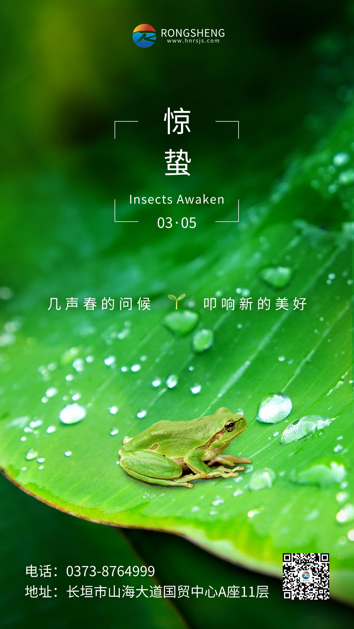 驚蟄節(jié)氣祝福手機海報 (1)