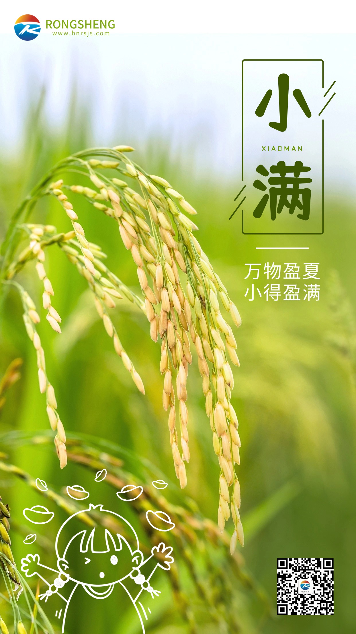 金融保險小滿節(jié)氣祝福創(chuàng)意插畫海報