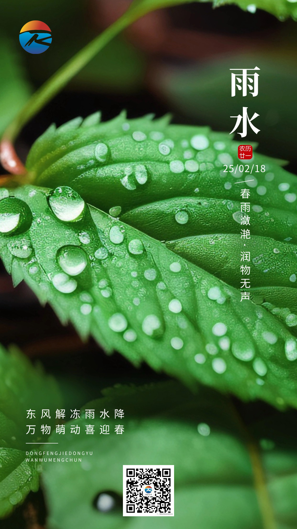 雨水節氣祝福實景風手機海報AIGC